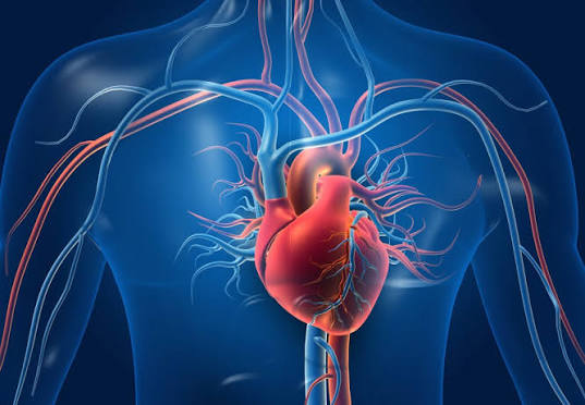 Cardiovascular & Metabolic APIs