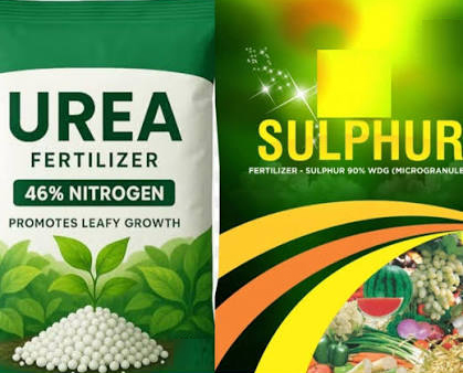 Fertilizers