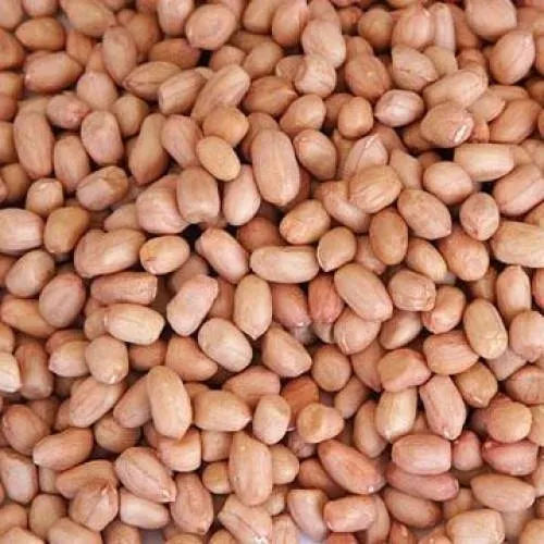 Peanuts