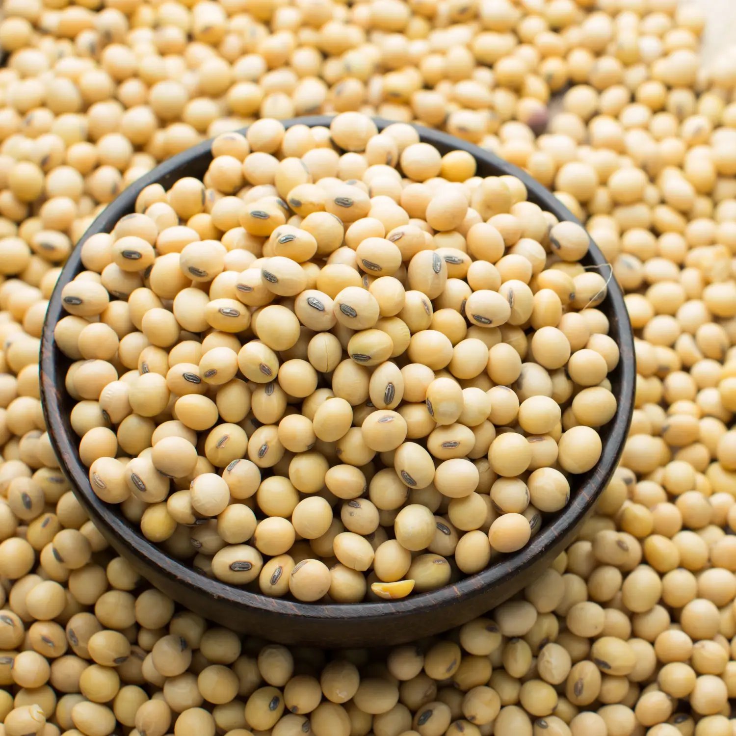 Soya Beans